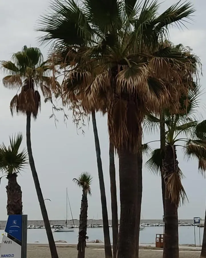 El Laurel Apartamentos Fuengirola